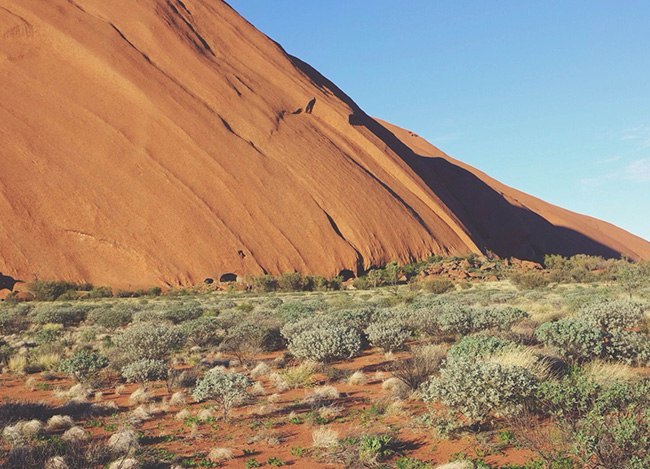 免费ddos在线攻击